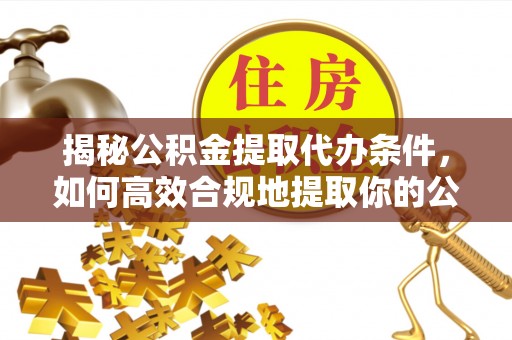 湾里揭秘公积金提取代办条件，如何高效合规地提取你的公积金
