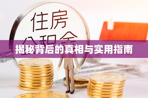 湾里揭秘背后的真相与实用指南