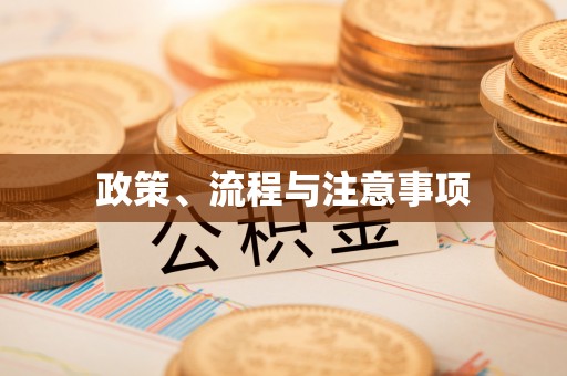 湾里政策、流程与注意事项