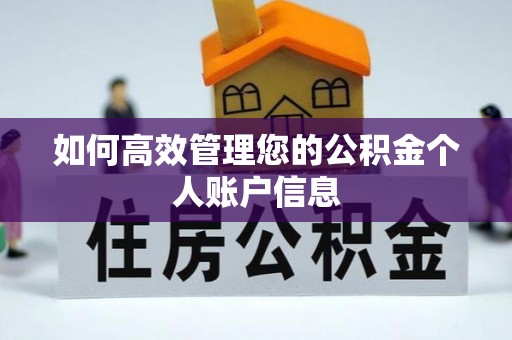 湾里如何高效管理您的公积金个人账户信息
