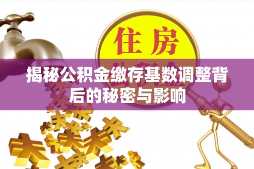 湾里揭秘公积金缴存基数调整背后的秘密与影响