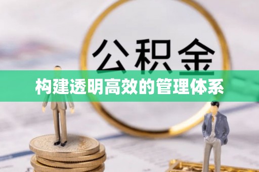 湾里构建透明高效的管理体系