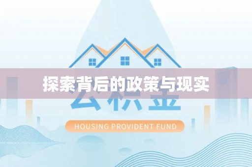 湾里探索背后的政策与现实