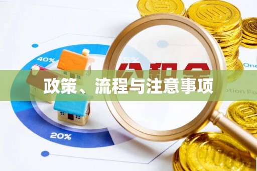 湾里政策、流程与注意事项