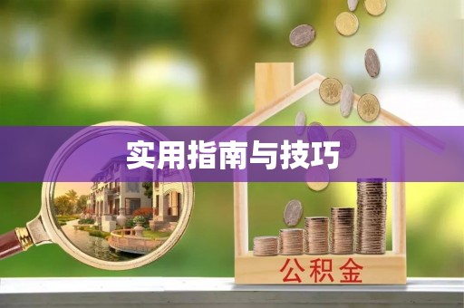湾里实用指南与技巧