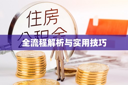 湾里全流程解析与实用技巧