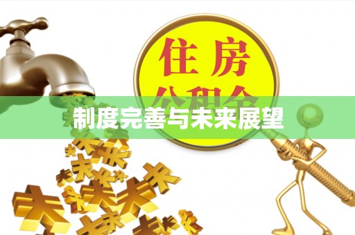 湾里制度完善与未来展望