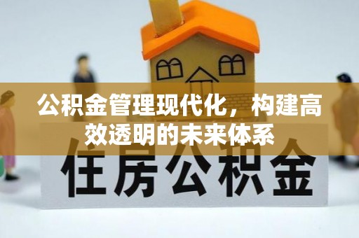 湾里公积金管理现代化，构建高效透明的未来体系