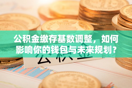 湾里公积金缴存基数调整，如何影响你的钱包与未来规划？