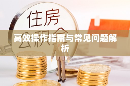 湾里高效操作指南与常见问题解析