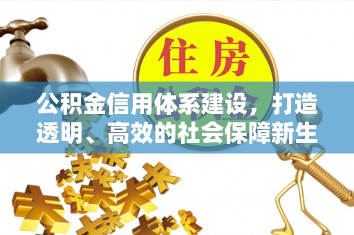 湾里公积金信用体系建设，打造透明、高效的社会保障新生态