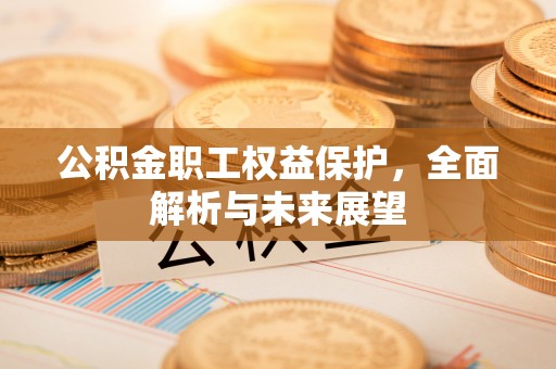 湾里公积金职工权益保护，全面解析与未来展望