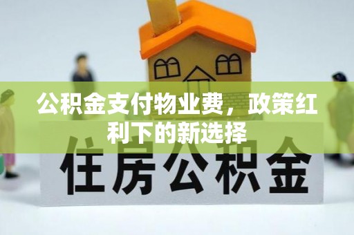湾里公积金支付物业费，政策红利下的新选择