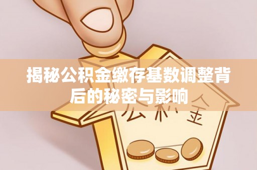湾里揭秘公积金缴存基数调整背后的秘密与影响