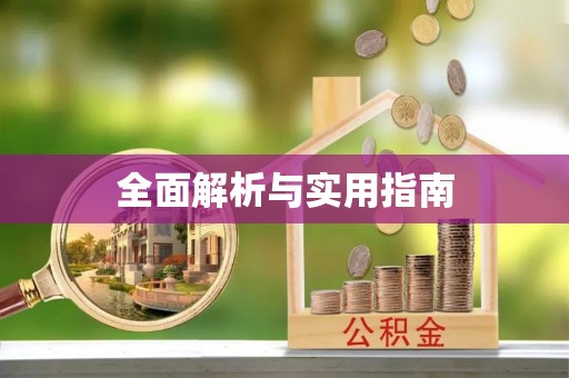湾里全面解析与实用指南