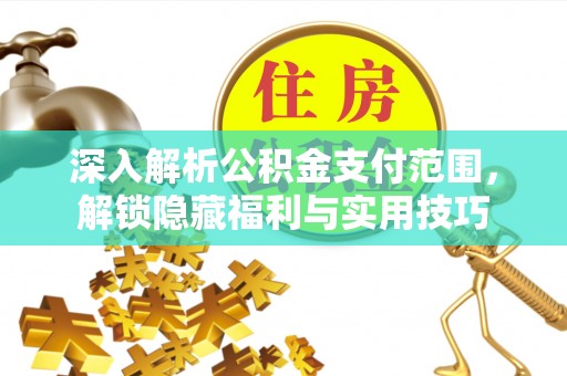 湾里深入解析公积金支付范围，解锁隐藏福利与实用技巧