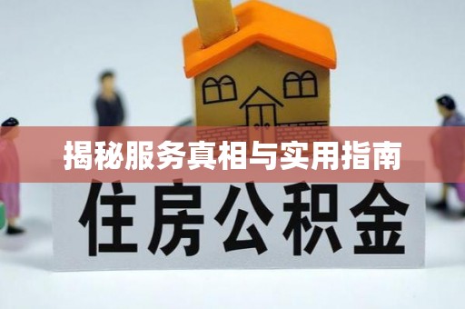 湾里揭秘服务真相与实用指南