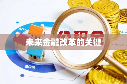 湾里未来金融改革的关键