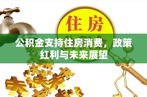 湾里公积金支持住房消费，政策红利与未来展望