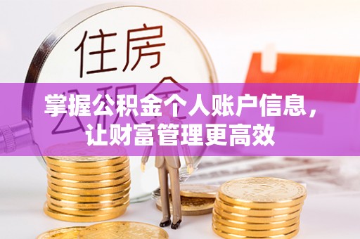 湾里掌握公积金个人账户信息，让财富管理更高效
