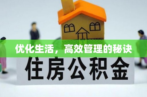湾里优化生活，高效管理的秘诀