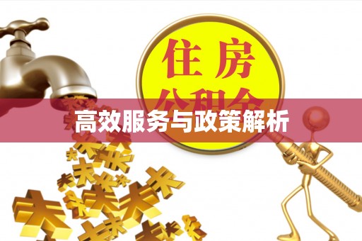 湾里高效服务与政策解析