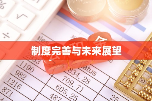 湾里制度完善与未来展望