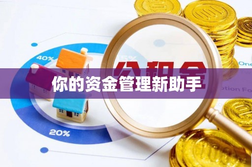 湾里你的资金管理新助手