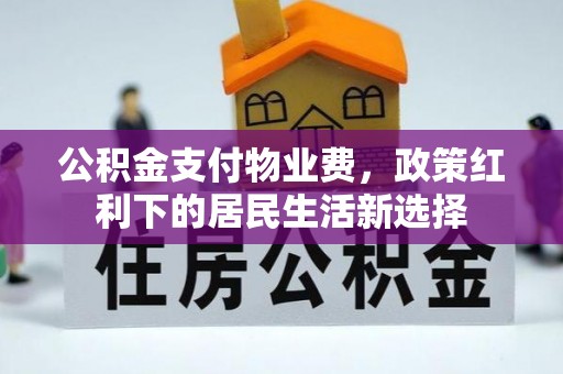 湾里公积金支付物业费，政策红利下的居民生活新选择