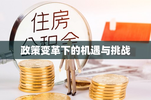 湾里政策变革下的机遇与挑战