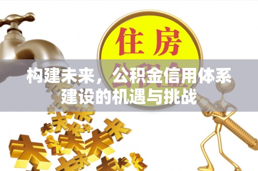 湾里构建未来，公积金信用体系建设的机遇与挑战