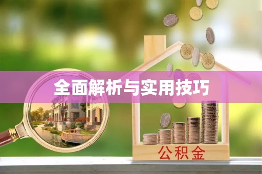 湾里全面解析与实用技巧
