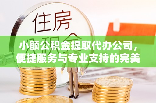 湾里小额公积金提取代办公司，便捷服务与专业支持的完美结合