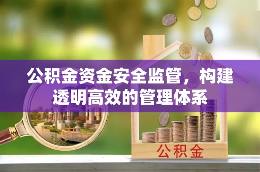 湾里公积金资金安全监管，构建透明高效的管理体系