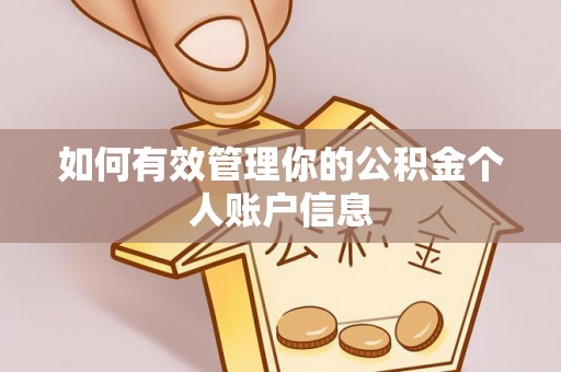 湾里如何有效管理你的公积金个人账户信息