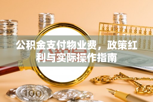 湾里公积金支付物业费，政策红利与实际操作指南