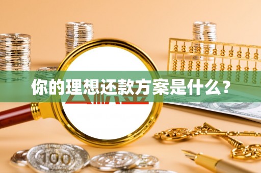 湾里你的理想还款方案是什么？