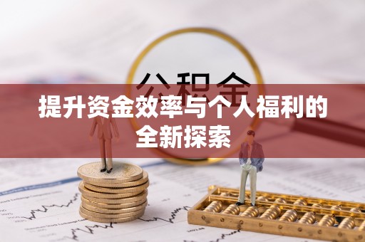 湾里提升资金效率与个人福利的全新探索
