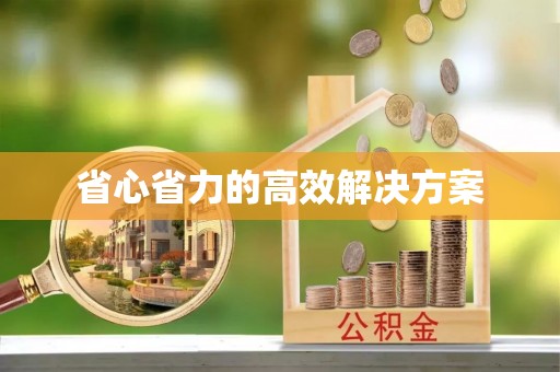 湾里省心省力的高效解决方案