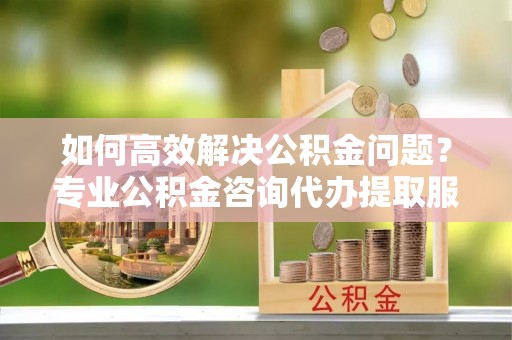 湾里如何高效解决公积金问题？专业公积金咨询代办提取服务来帮你