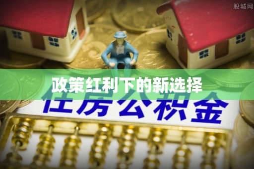 湾里政策红利下的新选择