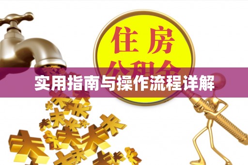 湾里实用指南与操作流程详解
