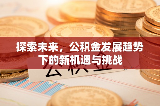 湾里探索未来，公积金发展趋势下的新机遇与挑战