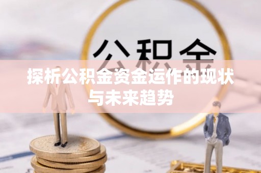 湾里探析公积金资金运作的现状与未来趋势