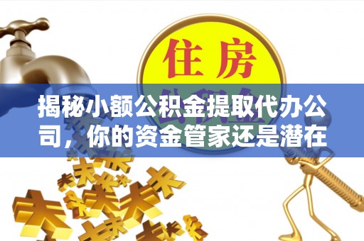 湾里揭秘小额公积金提取代办公司，你的资金管家还是潜在风险？