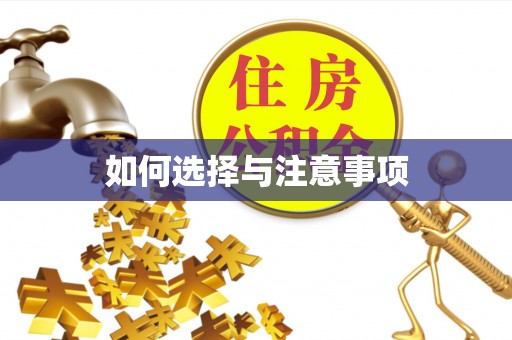 湾里如何选择与注意事项