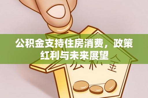 湾里公积金支持住房消费，政策红利与未来展望
