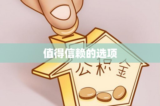 湾里值得信赖的选项