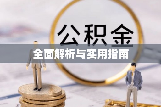 湾里全面解析与实用指南