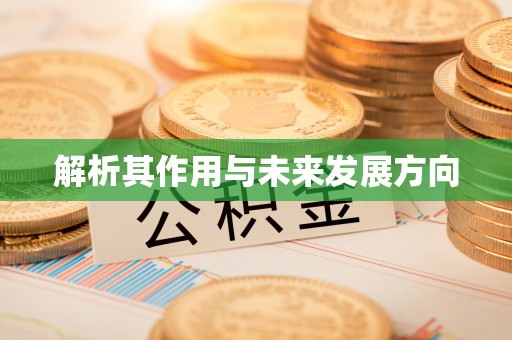 湾里解析其作用与未来发展方向